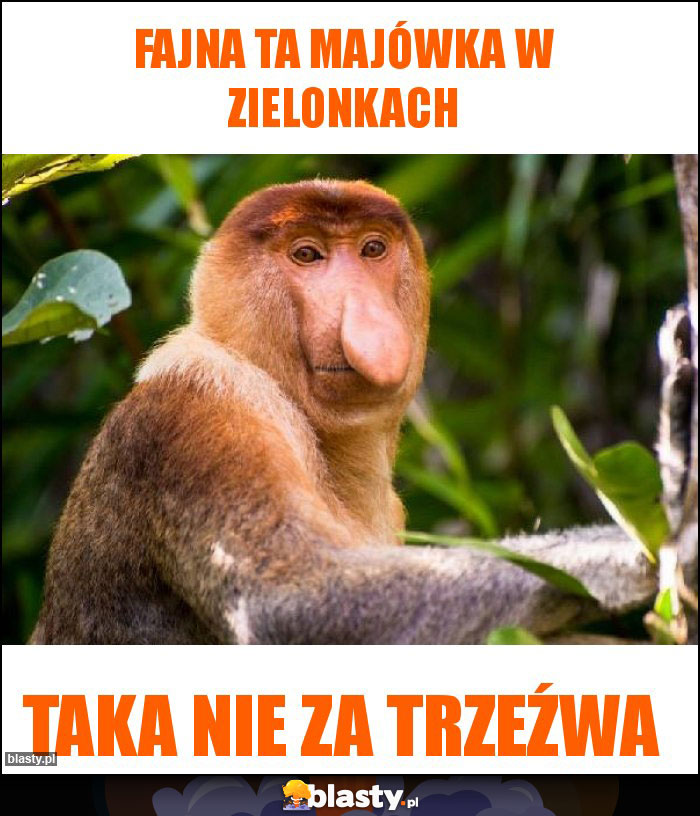 Fajna ta majówka w zielonkach