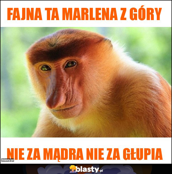 Fajna ta Marlena z góry