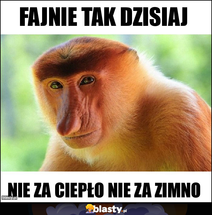 Fajnie tak dzisiaj