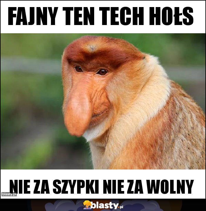 Fajny ten tech hołs