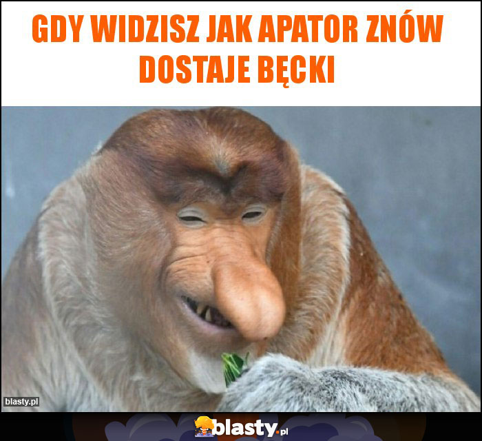 Gdy widzisz jak Apator znów dostaje bęcki