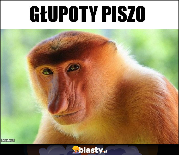 Głupoty piszo