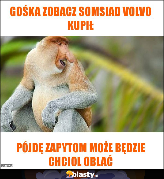 Gośka zobacz somsiad Volvo kupił