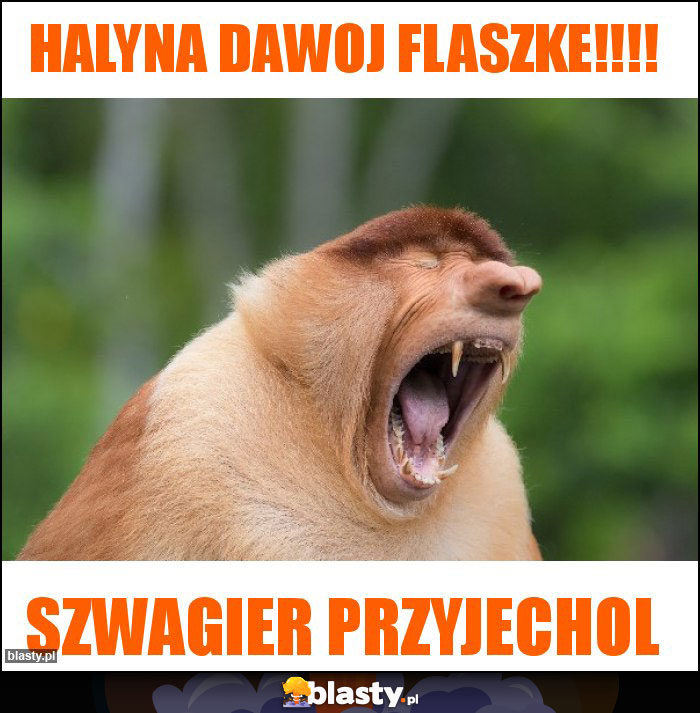 Halyna dawoj flaszke!!!!