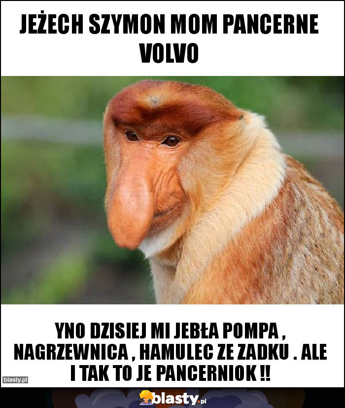 JEŻECH SZYMON MOM PANCERNE VOLVO