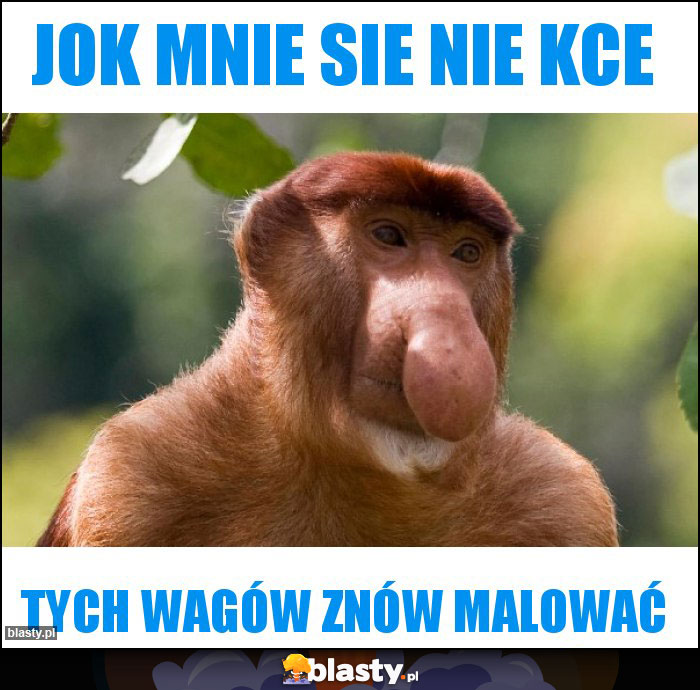 jok mnie sie nie kce