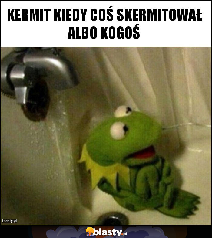 Kermit kiedy coś skermitował albo kogoś