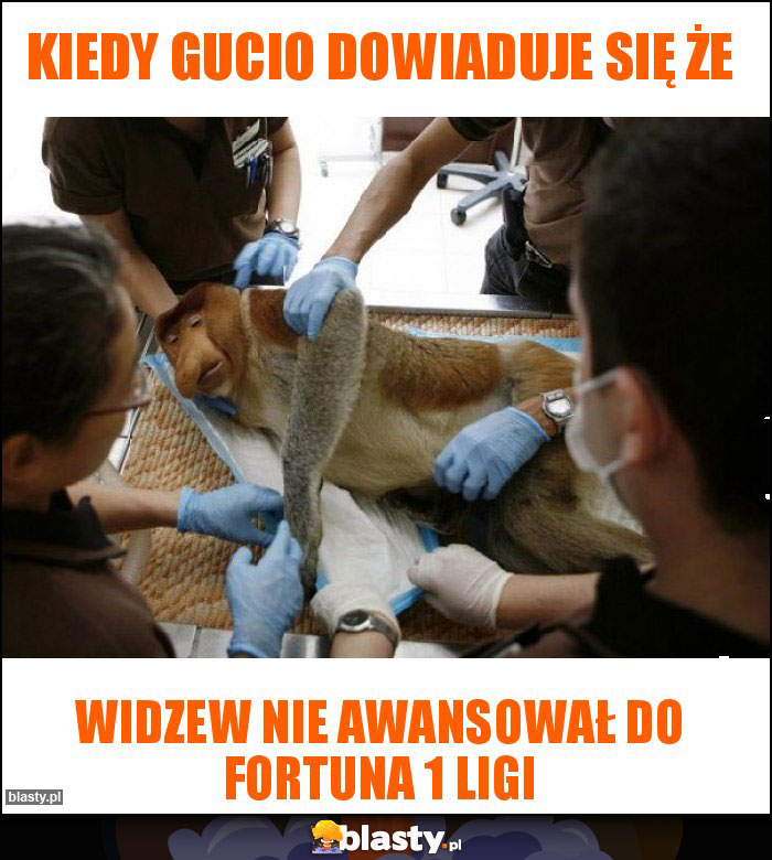 Kiedy Gucio dowiaduje się że