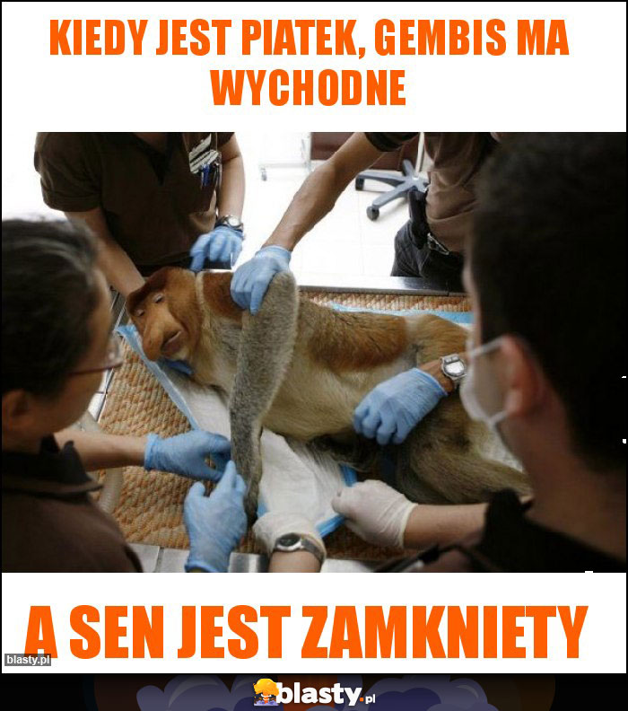 Kiedy Jest piatek, Gembis ma wychodne