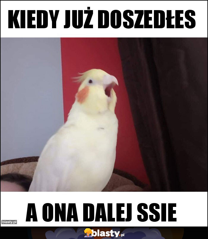 Kiedy już doszedłes