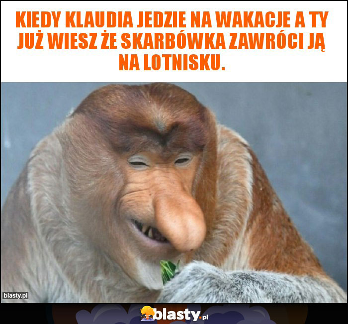 Kiedy Klaudia jedzie na wakacje a ty już wiesz że skarbówka zawróci ją na lotnisku.