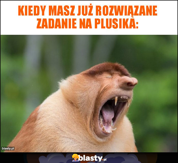 Kiedy masz już rozwiązane zadanie na plusika: