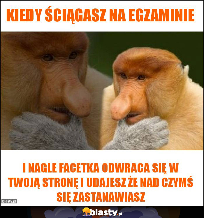 Kiedy ściągasz na egzaminie