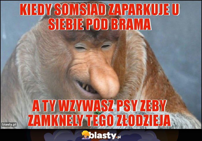 kiedy Somsiad zaparkuje u siebie pod brama