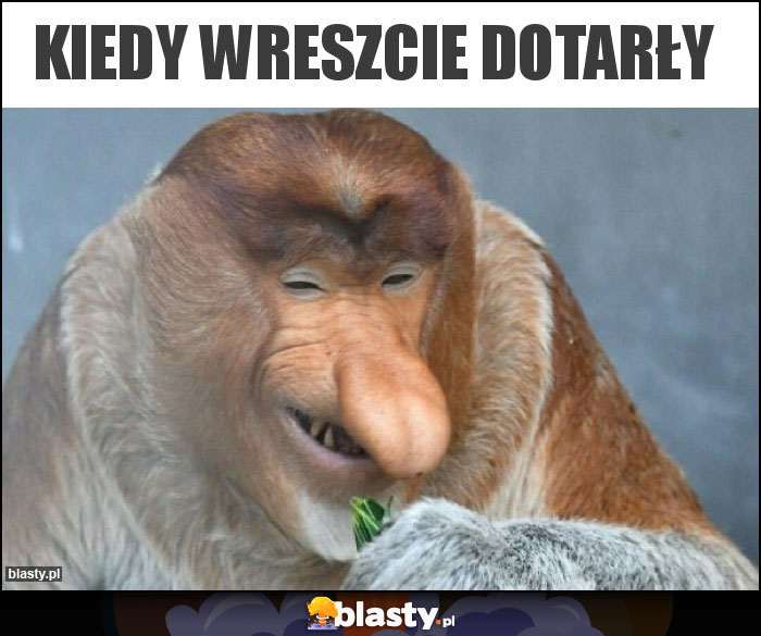 Kiedy wreszcie dotarły