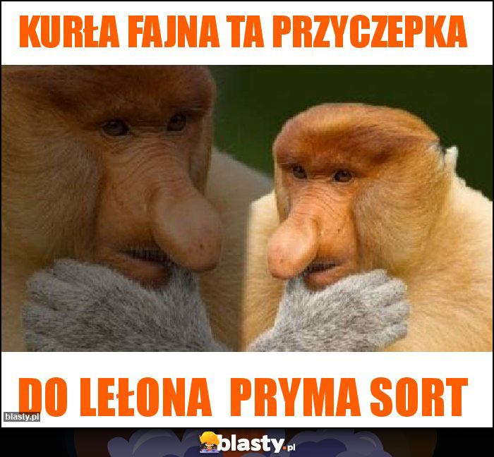 Kurła fajna ta przyczepka