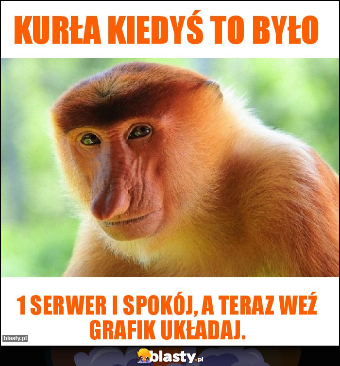 KURŁA KIEDYŚ TO BYŁO