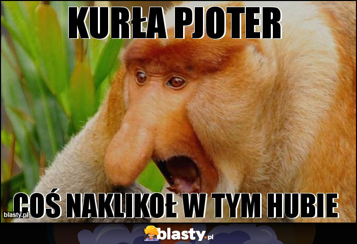 KURŁA PJOTER