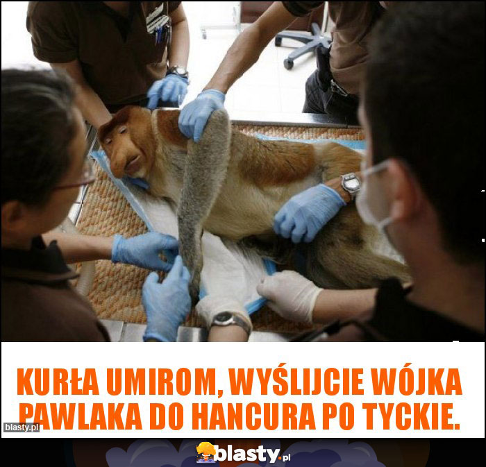 kurła umirom, wyślijcie wójka pawlaka do hancura po tyckie.