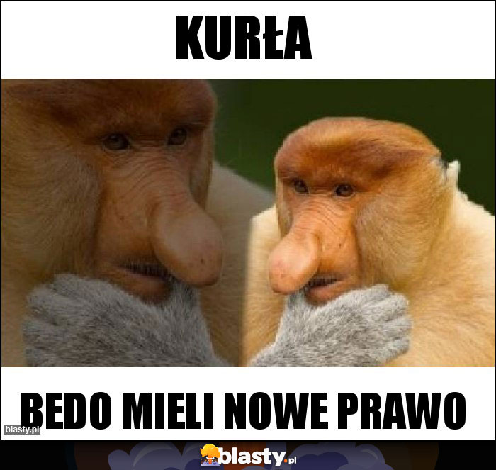 Kurła