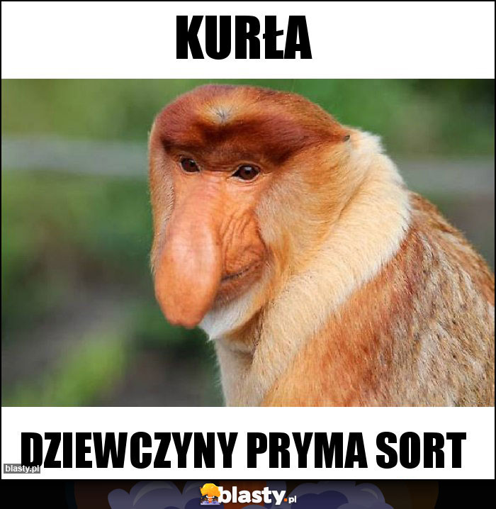 KURŁA