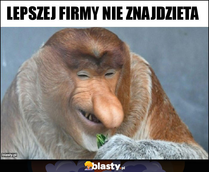 Lepszej firmy nie znajdzieta