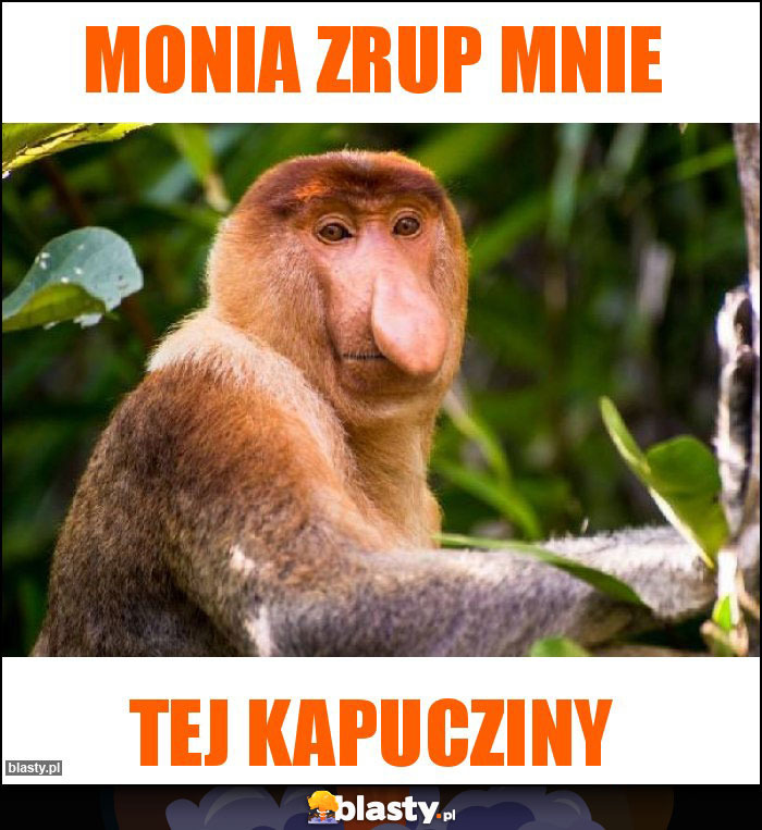 Monia zrup mnie