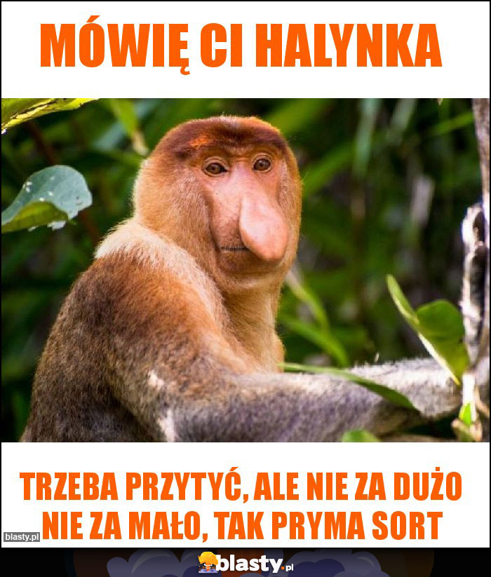 Mówię Ci Halynka