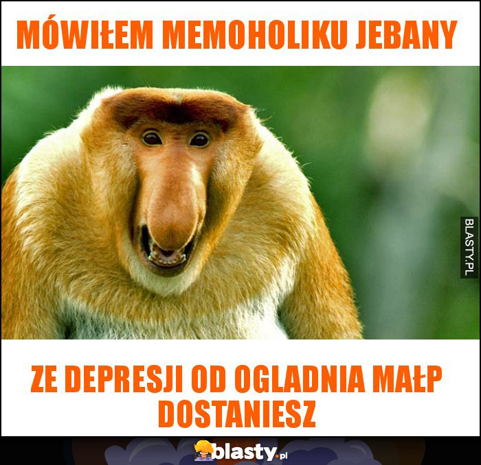 Mówiłem memoholiku jebany