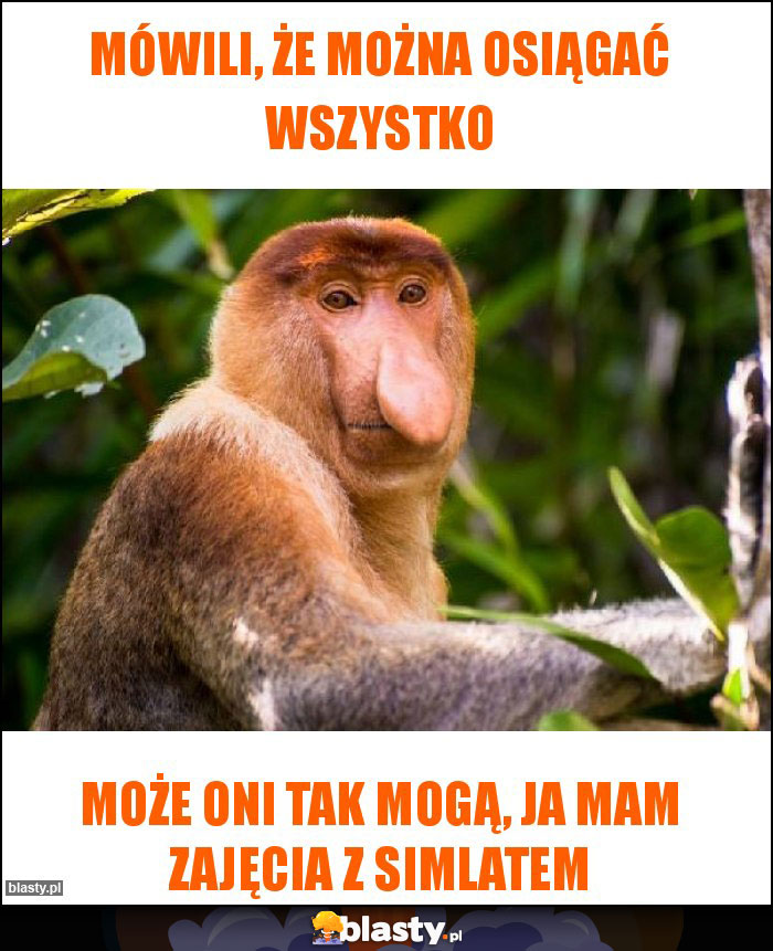 Mówili, że można osiągać wszystko