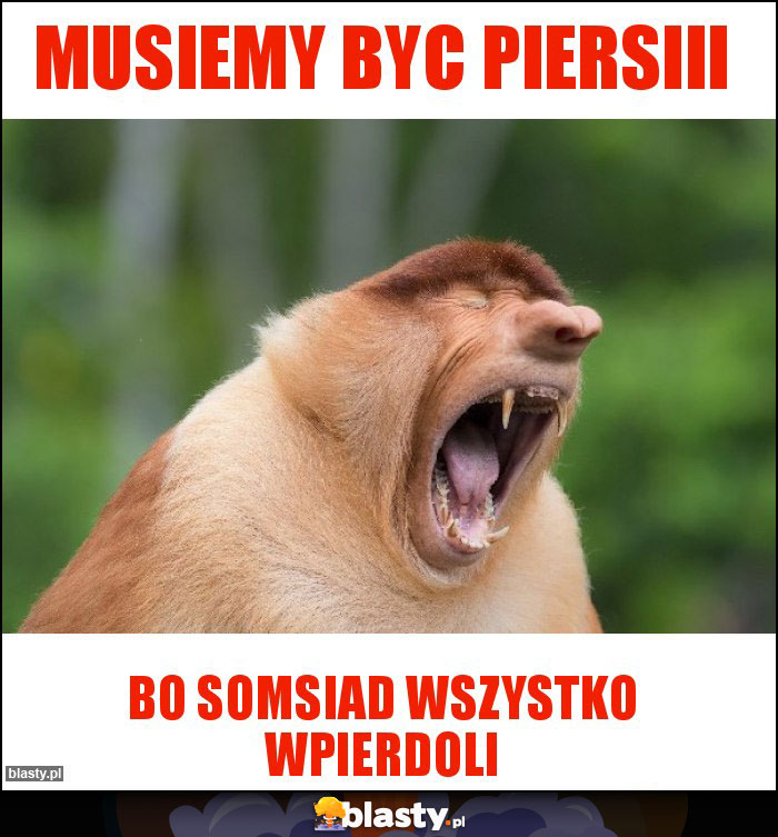 musiemy byc piersiii