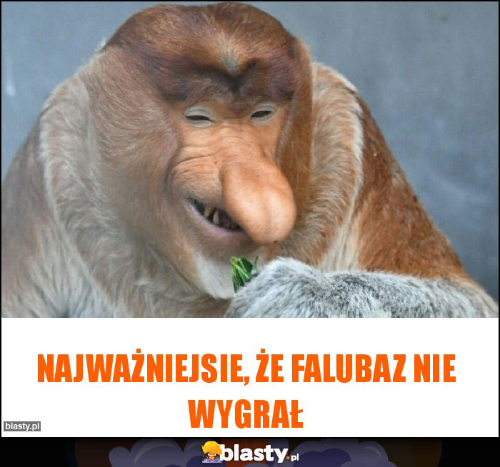 Najważniejsie, że Falubaz nie wygrał