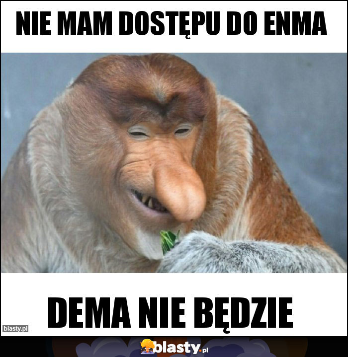 NIE MAM DOSTĘPU DO ENMa