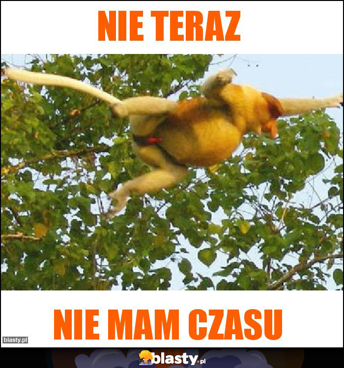 NIE TERAZ