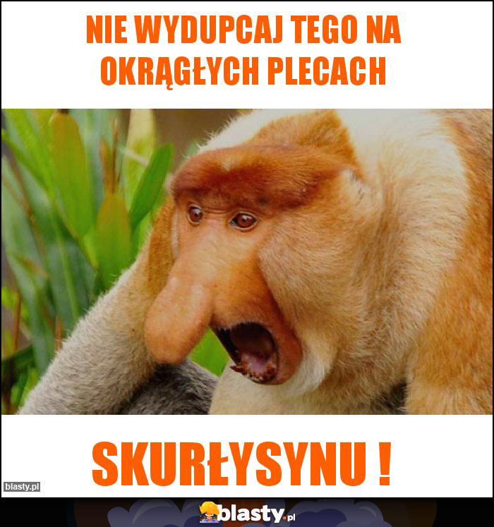 Nie wydupcaj tego na okrągłych plecach