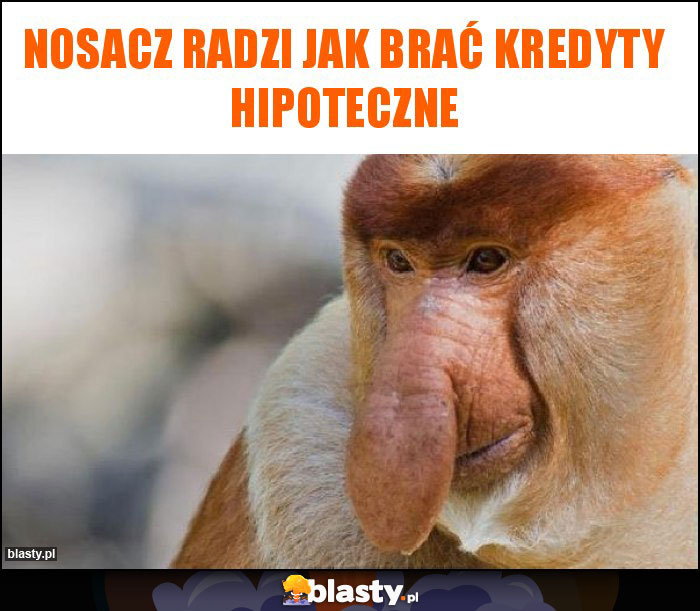 Nosacz radzi jak brać kredyty hipoteczne