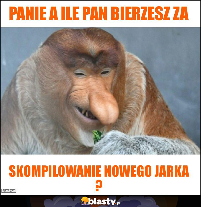 Panie a ile Pan bierzesz za