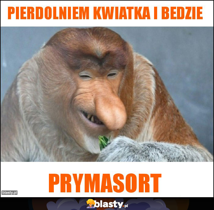 Pierdolniem kwiatka i bedzie