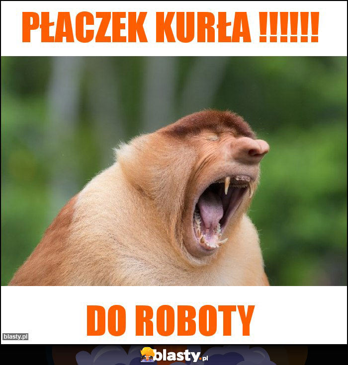 PŁACZEK KURŁA !!!!!!