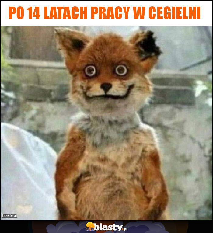 Po 14 latach pracy w cegielni