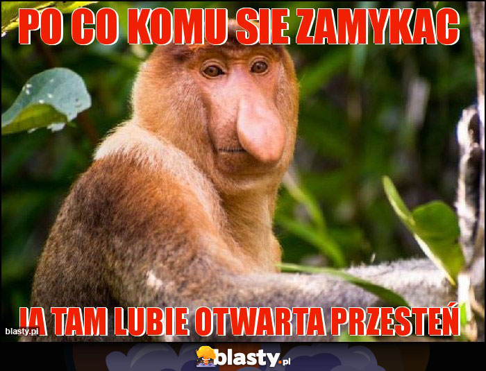 po co komu sie zamykac