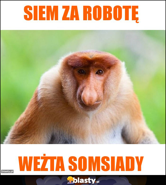 Siem za robotę