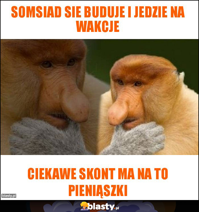 Somsiad sie buduje i jedzie na wakcje