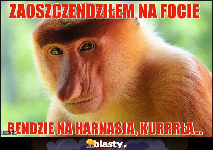 zaoszczendziłem na focie