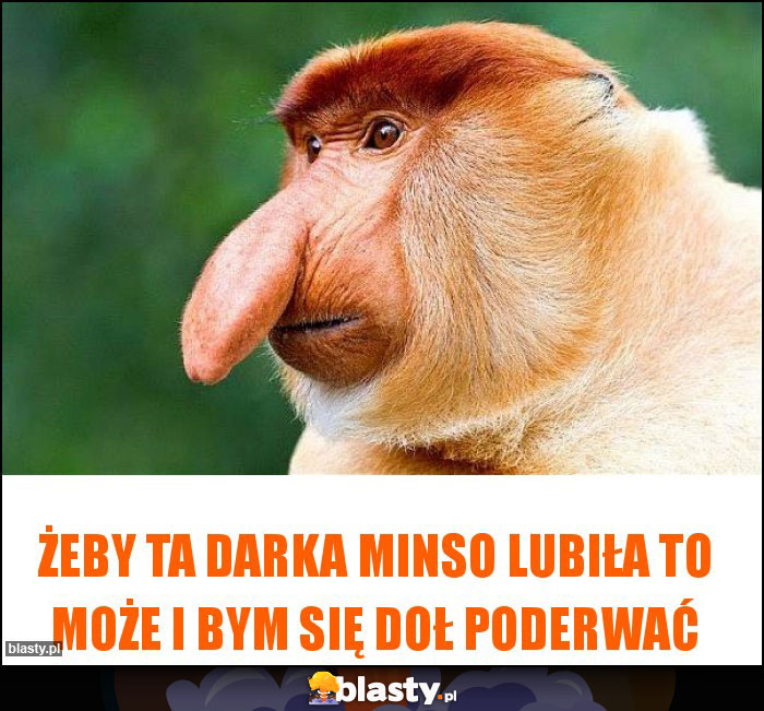 Żeby ta Darka minso lubiła to może i bym się doł poderwać