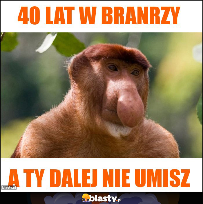 40 lat w branrzy