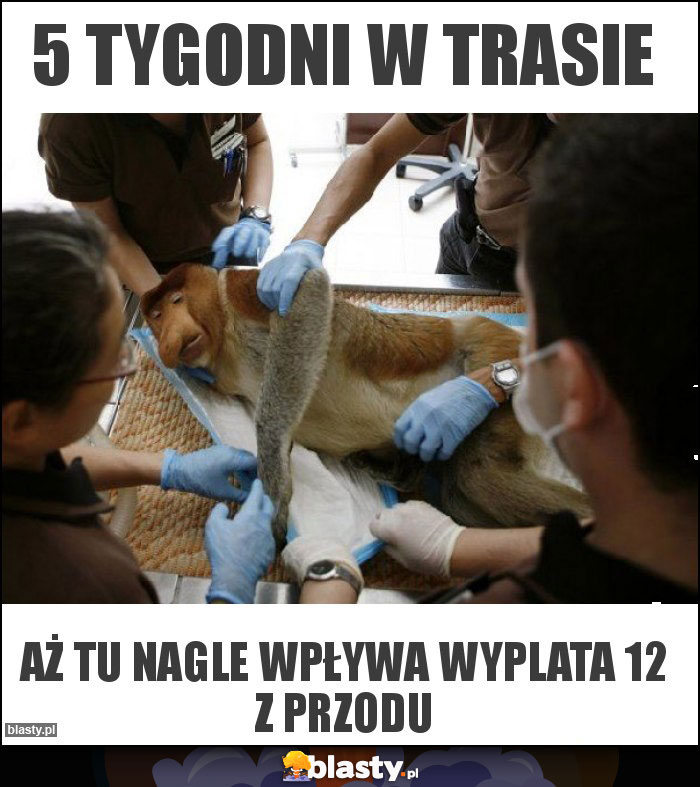 5 tygodni w trasie