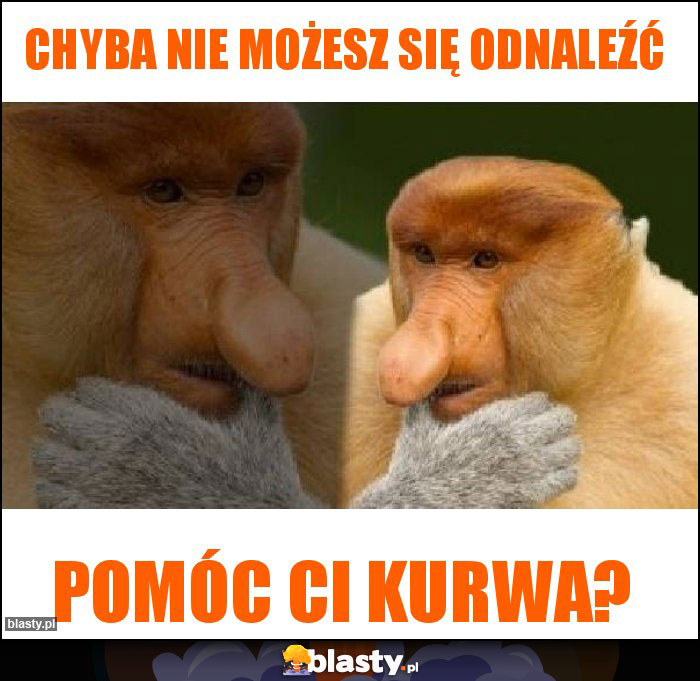 Chyba nie możesz się odnaleźć