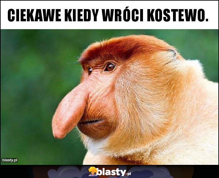 Ciekawe kiedy wróci Kostewo.