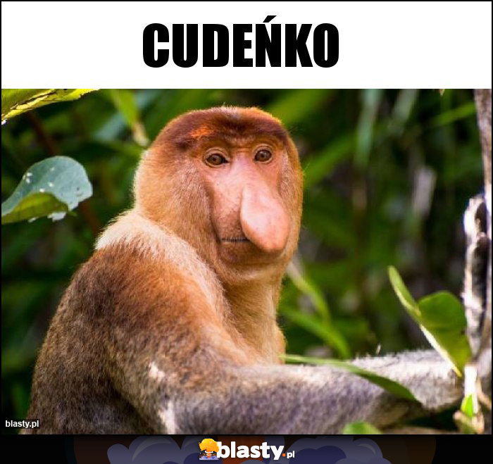 Cudeńko